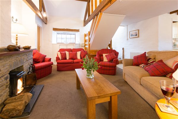 Living room with log burner perfect for families with dogs